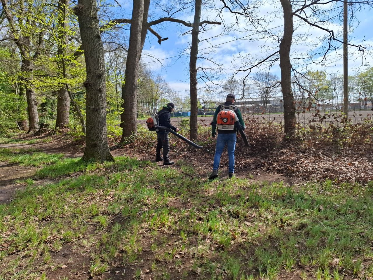 Wald fegen 2026